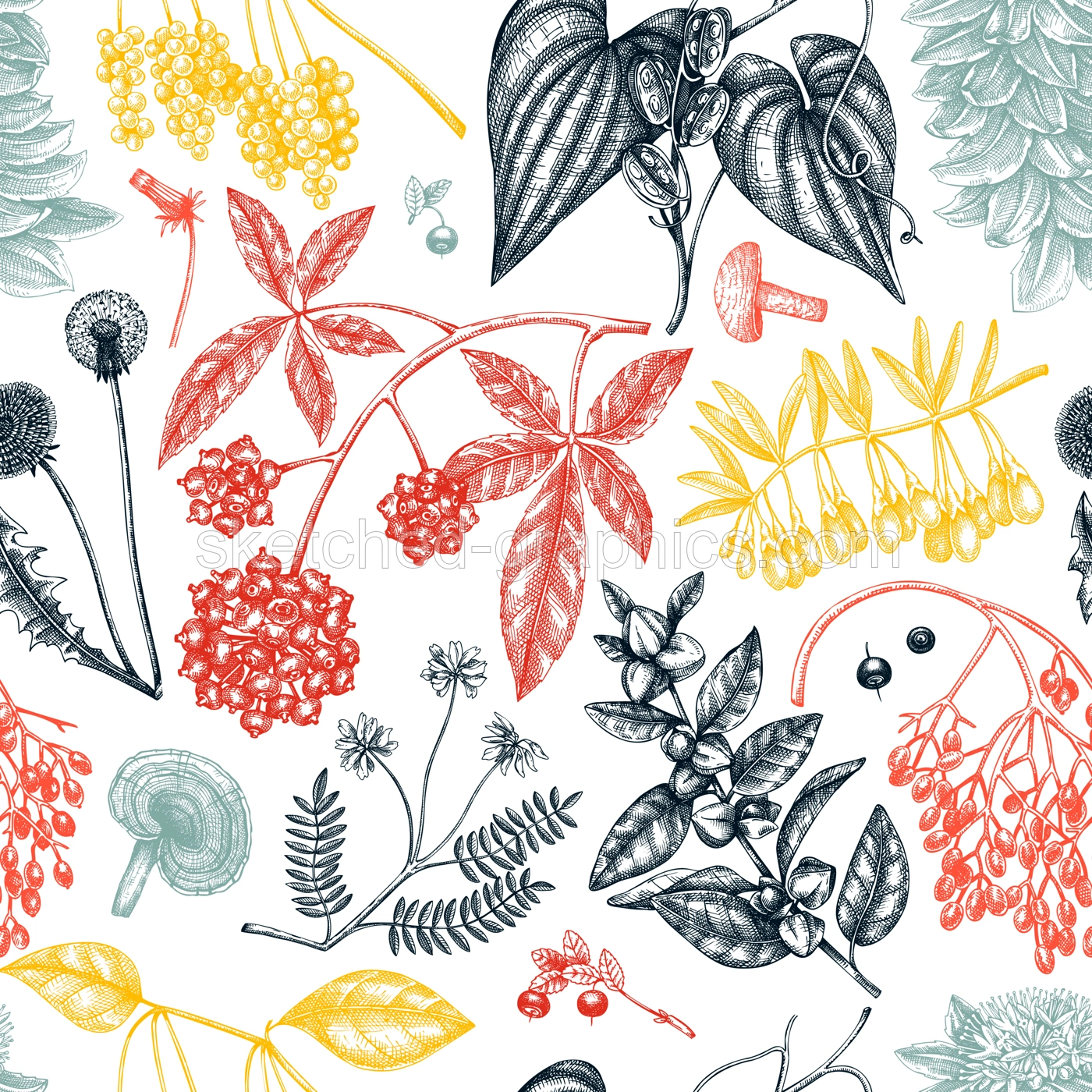 Adaptogenic plants seamless pattern. Hand-sketched medicinal herbs, weeds, berries, leaves vector background. Perfect for labels, packaging, wrapping paper, fabric. Botanical illustration in color Illustration
